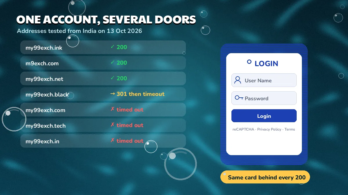 One account, several doors diagram: seven address rows with 200, 301 and timeout marks beside the shared LOGIN card